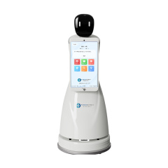 Intelligent Educational Robot