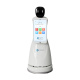 Intelligent Educational Robot