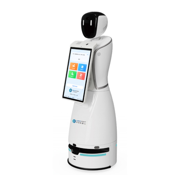 Intelligent Educational Robot