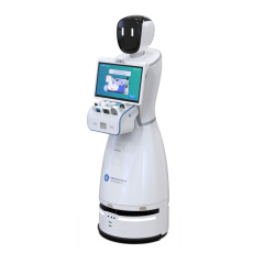 Medical Bobots for Rural Areas