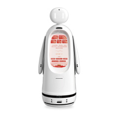Intelligent Welcome Tour Service Robot
