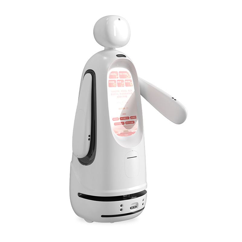 Intelligent Welcome Tour Service Robot