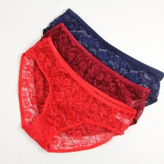 Custom Logo Brief Wholesale Women's Transparent Low Waist Breathable Sexy Lace Women's Sexy Underwear