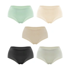 Underwear Lycra Fabric One Piece Seamless Hipster Lady Invisible Smooth Panties for Women