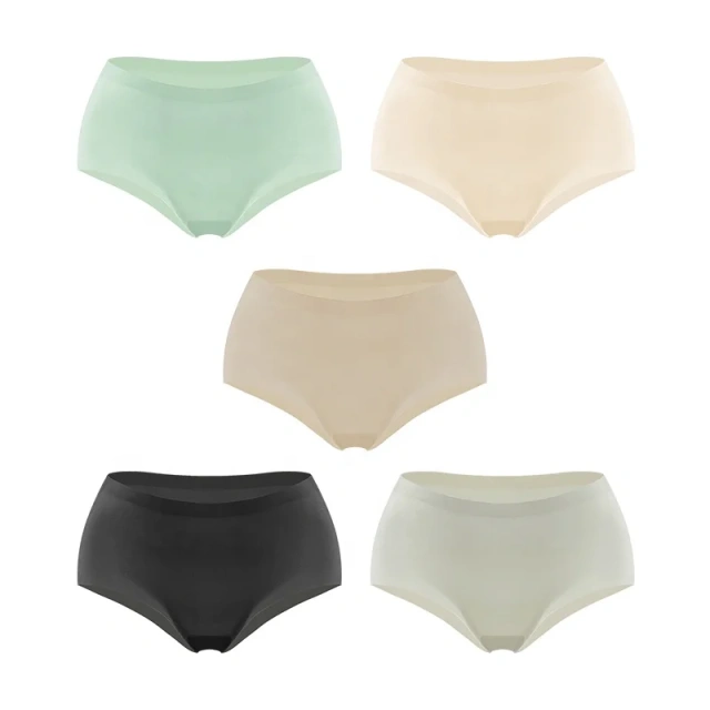 Underwear Lycra Fabric One Piece Seamless Hipster Lady Invisible Smooth Panties for Women