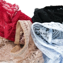 Low Waist Girl Lace Panties Sexy Transparent Ladies Underwear Panties