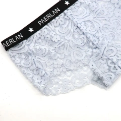 High Quality Very Sexy Young Girl Fancy Women Breathable Transparent Lace Panties