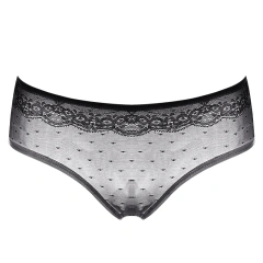 Hottest Sale Women Panties Sexy Lace Panties Seamless Transparent Underwear Ladies Briefs