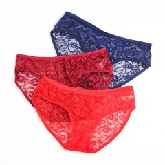 Custom Logo Brief Wholesale Women's Transparent Low Waist Breathable Sexy Lace Women's Sexy Underwear