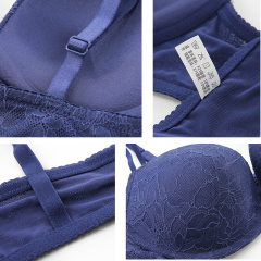 Women Beautiful Bra Sexy Bra Design Good Quality Ladies Push up Bra Padding Insert