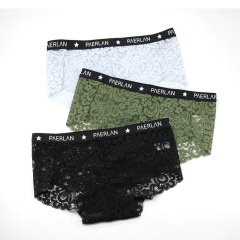 High Quality Very Sexy Young Girl Fancy Women Breathable Transparent Lace Panties