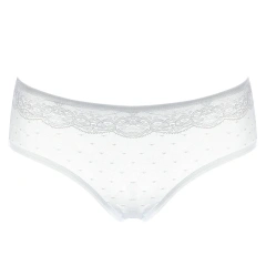 Hottest Sale Women Panties Sexy Lace Panties Seamless Transparent Underwear Ladies Briefs