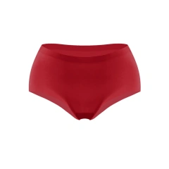 Underwear Lycra Fabric One Piece Seamless Hipster Lady Invisible Smooth Panties for Women