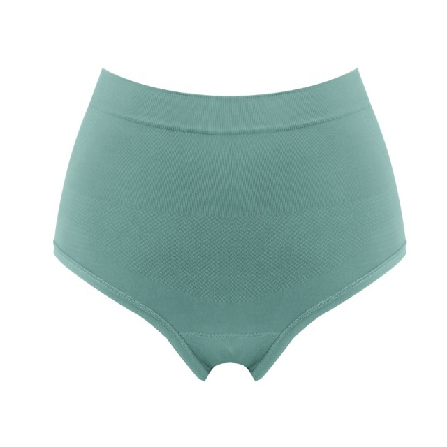 Women's Light Sexy Underwear Shaping High Waist Full Coverage Stretch Panties