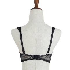 High Quality Women Hot Sexy Bra Women Sexy Bra Underwear