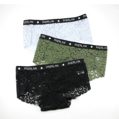 High Quality Very Sexy Young Girl Fancy Women Breathable Transparent Lace Panties