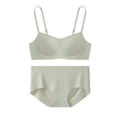 Paerlan Woman Customized High Quality Bra Sets One Piece Quick Dry Padded  Bra & Brief Sets