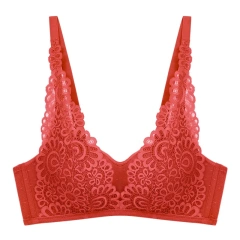 Factory Wholesale New Style Mature Hot Sexy Bra Push up Full Cup Lace Young Ladies Nude Bra