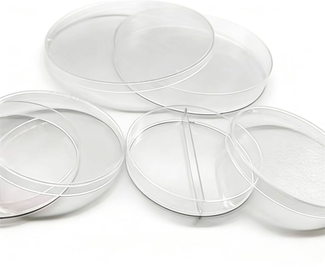 Petri Dish (Double rooms)