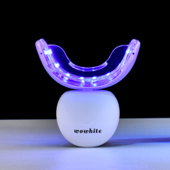 Wholesale Brand Wowhite New Dental Wireless Teeth Whitening Kit LED Light With Silver Teeth Whitening Gel Pen Accept OEM&ODM