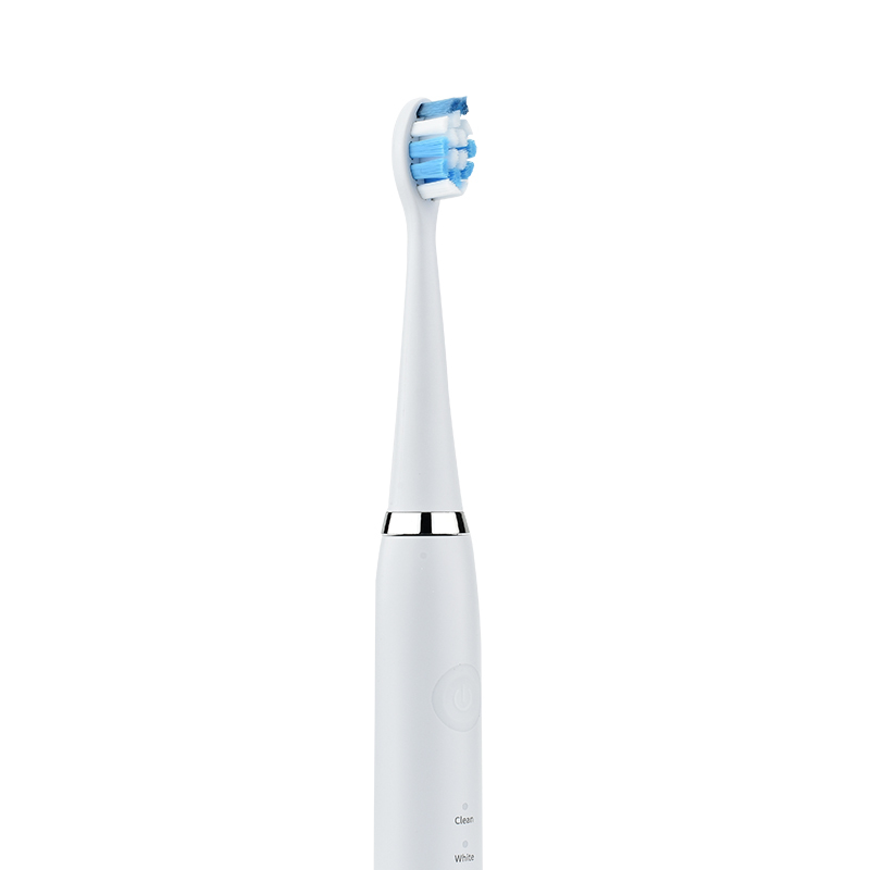 Brand New Wowhite Chargeable Electric Toothbrush IPX7 Oral Cleaning Sonic Electric Toothbrush Five-speed electric toothbrush