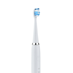 Brand New Wowhite Chargeable Electric Toothbrush IPX7 Oral Cleaning Sonic Electric Toothbrush Five-speed electric toothbrush