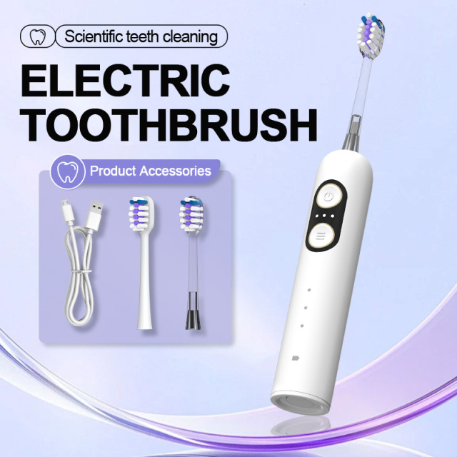 New Wholesale Sweeping vibration electric toothbrush rechargeable model portable family gift set waterproof soft bristles