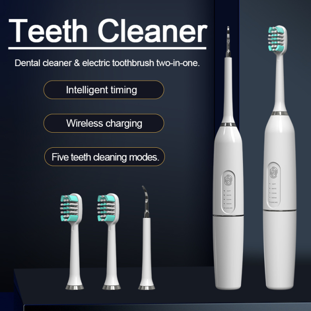 High Frequency Vibration Electric Dental Scaler Sonic Stains Tartar Plaque Removal Tooth Cleaner Calculus Remover