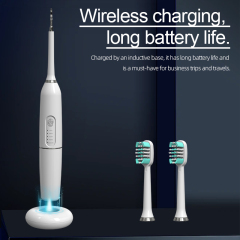 High Frequency Vibration Electric Dental Scaler Sonic Stains Tartar Plaque Removal Tooth Cleaner Calculus Remover