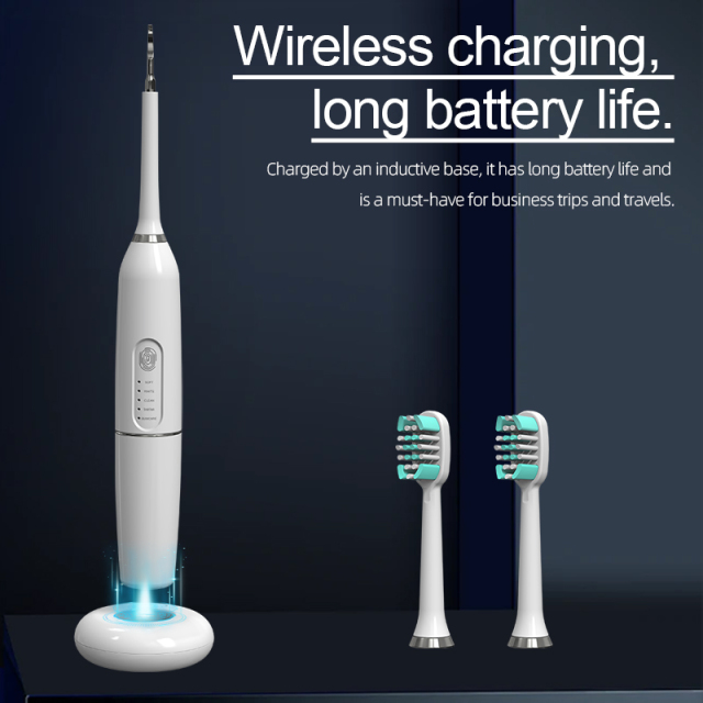 High Frequency Vibration Electric Dental Scaler Sonic Stains Tartar Plaque Removal Tooth Cleaner Calculus Remover
