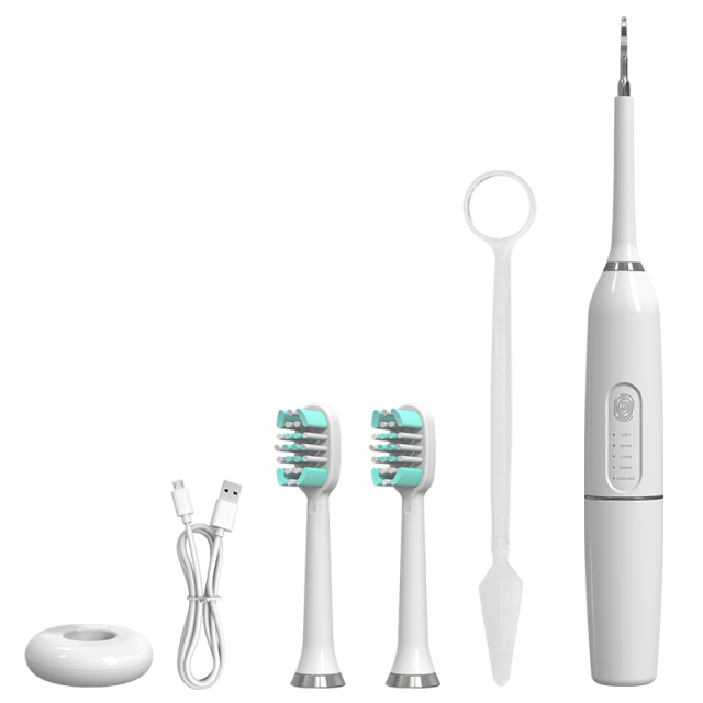 High Frequency Vibration Electric Dental Scaler Sonic Stains Tartar Plaque Removal Tooth Cleaner Calculus Remover