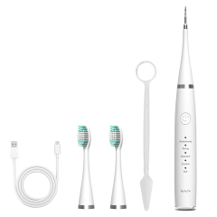 Wholesale Professional Oral Care Devices Dental Calculus Remover Teeth Cleaning Kit Plaque Remover for Teeth Accept OEM/ODM