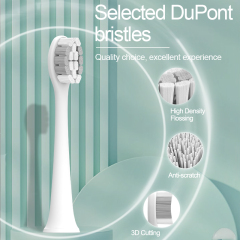 Customized Electric Toothbrush Rechargeable Smart Waterproof Sonic Mini Electric Toothbrush Wholesale