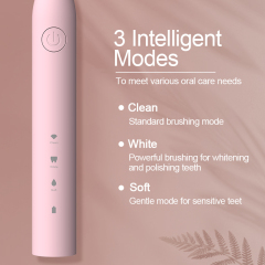 Wholesale New electric toothbrush waterproof  fully automatic for adults  ultrasonic  with soft bristles  suitable for home use