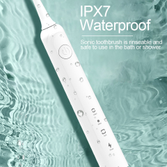 Customized Electric Toothbrush Rechargeable Smart Waterproof Sonic Mini Electric Toothbrush Wholesale