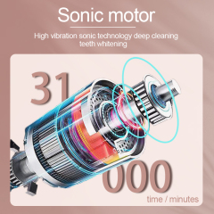 Wholesale New electric toothbrush waterproof  fully automatic for adults  ultrasonic  with soft bristles  suitable for home use