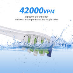 Wholesale OEM Private Logo Kids Adult Low Noise Deep Cleaning Rechargeable Sonic Electric Toothbrush for Children Adult