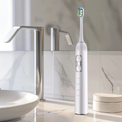 Wholesale Stock Wireless Charging IPX7 Smart Wave Sweep Oscillating Servo Motor Electric Sonic Toothbrush Accept OEM/ODM