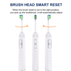 Wholesale Stock Wireless Charging IPX7 Smart Wave Sweep Oscillating Servo Motor Electric Sonic Toothbrush Accept OEM/ODM