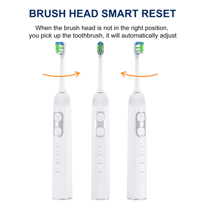 Wholesale Stock Wireless Charging IPX7 Smart Wave Sweep Oscillating Servo Motor Electric Sonic Toothbrush Accept OEM/ODM