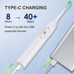 Wholesale Stock Wireless Charging IPX7 Smart Wave Sweep Oscillating Servo Motor Electric Sonic Toothbrush Accept OEM/ODM