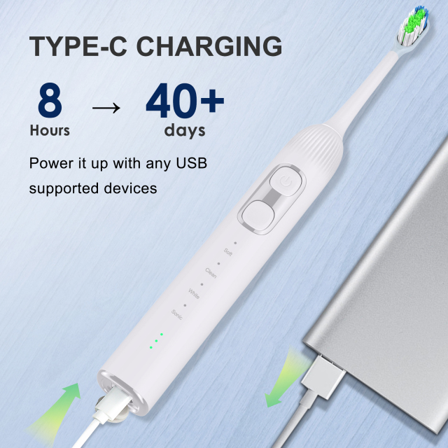 Wholesale Stock Wireless Charging IPX7 Smart Wave Sweep Oscillating Servo Motor Electric Sonic Toothbrush Accept OEM/ODM