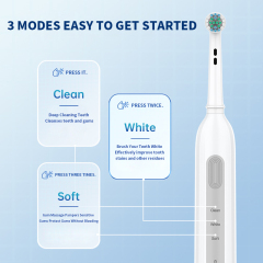 Wholesale OEM ODM Rechargeable Private Label Cheap  Sonic Rotary Electric Toothbrush for Adults