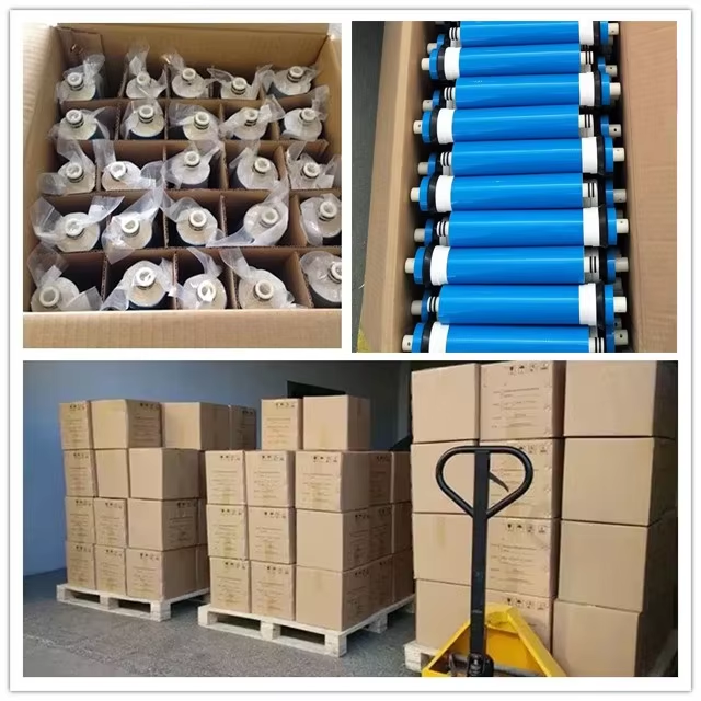 Domestic RO Membrane Manufacturer Reverse Osmosis Membrane Replacement Filter Home RO water filter replacement,Professional-Grade Filtration: Removes 99.99% of contaminants,Purithm