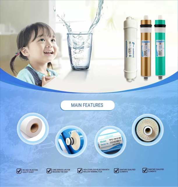 Domestic RO Membrane Manufacturer Reverse Osmosis Membrane Replacement Filter Domestic Reverse Osmosis Membrane,Professional-Grade Filtration: Removes 99.99% of contaminants,Purithm