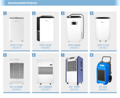 Large Room air Dry Machine air Purifier Commercial Industrial Dehumidifier for Swimming Pool,Large Room air Purifier Commercial Industrial Dehumidifier,Purithm