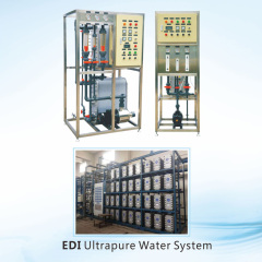 EDI Ultrapure Water System for Hospital and Lab Use Industrial RO water plants,Industrial RO water Treatment EDI Ultrapure Water Purifier System,Purithm