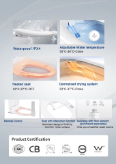 Modern Home Business Smart Electric Toilet Cover Seat Smart Bidet Toilet,Modern Home Business Smart Electric Toilet Cover Seat Smart Bidet Toilet,Purithm