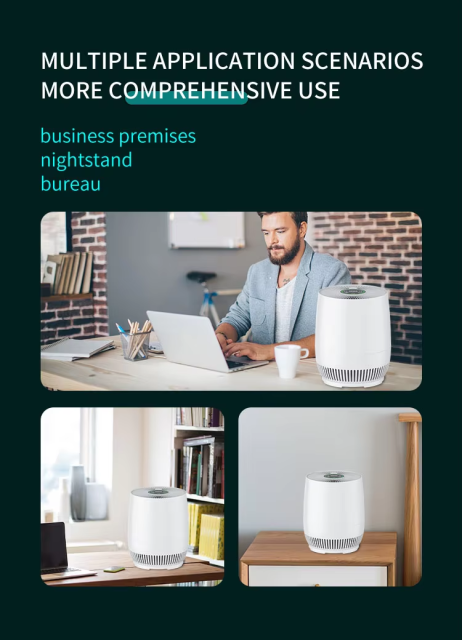 Smart Home Hepa air Purifier Adjustable Wind Speed Competitive Prices Low Noise Advanced Technology H13 Filter,Smart Home Hepa air Purifier with Advanced Technology H13 Filter,Purithm