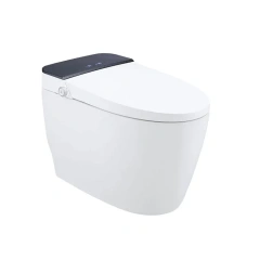 Luxury Professional Modern Bathroom Electric Bidet Sanitary Wc Toilet Bowl Automatic Intelligent Smart Toilet,Modern Bathroom Electric Wc Toilet Bowl Automatic Smart Toilet,Purithm